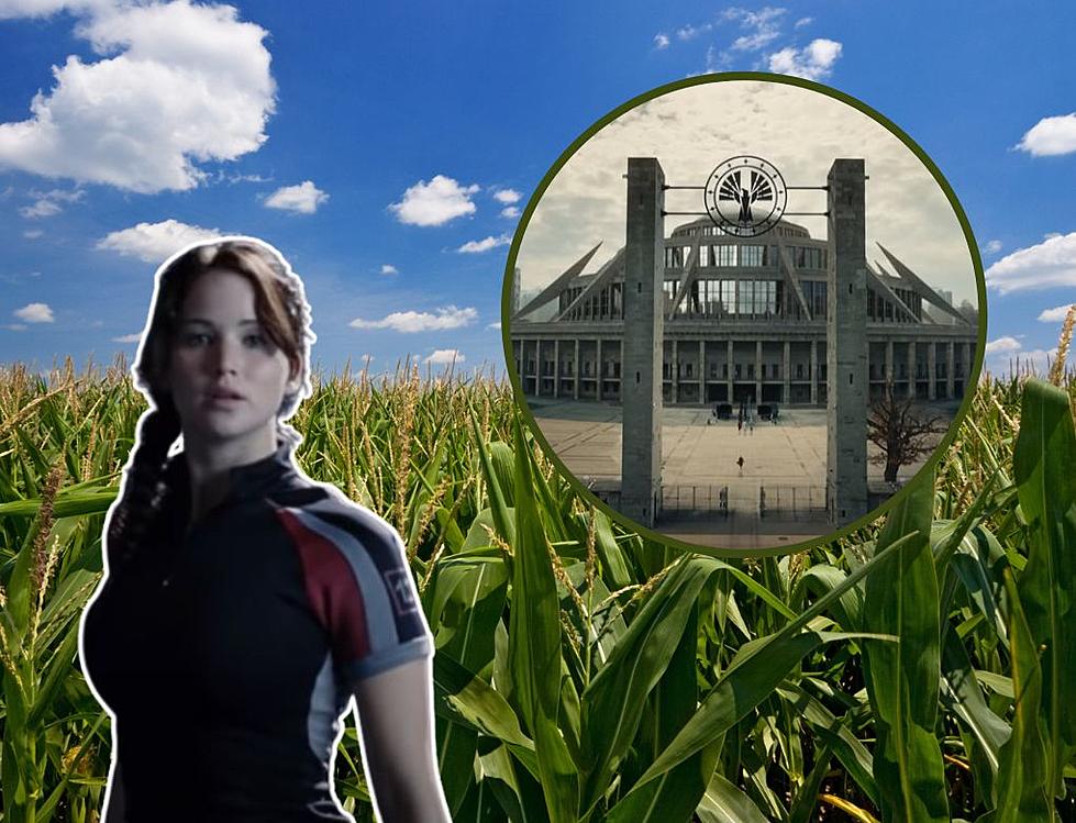 What District Would Iowa Be in the Hunger Games?