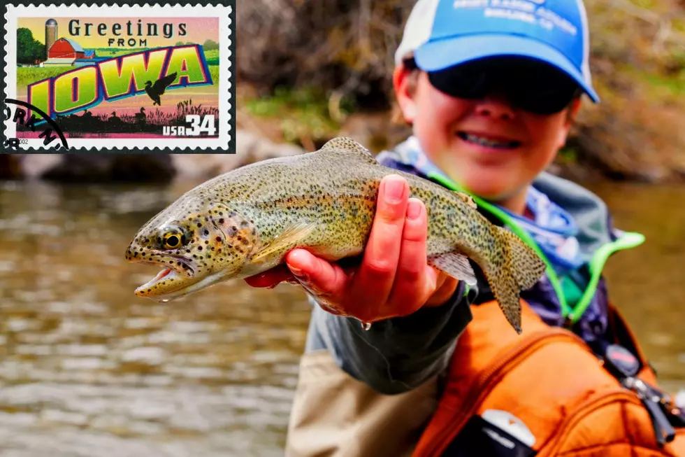 2,000 Rainbow Trout Released in These 9 Iowa Locations