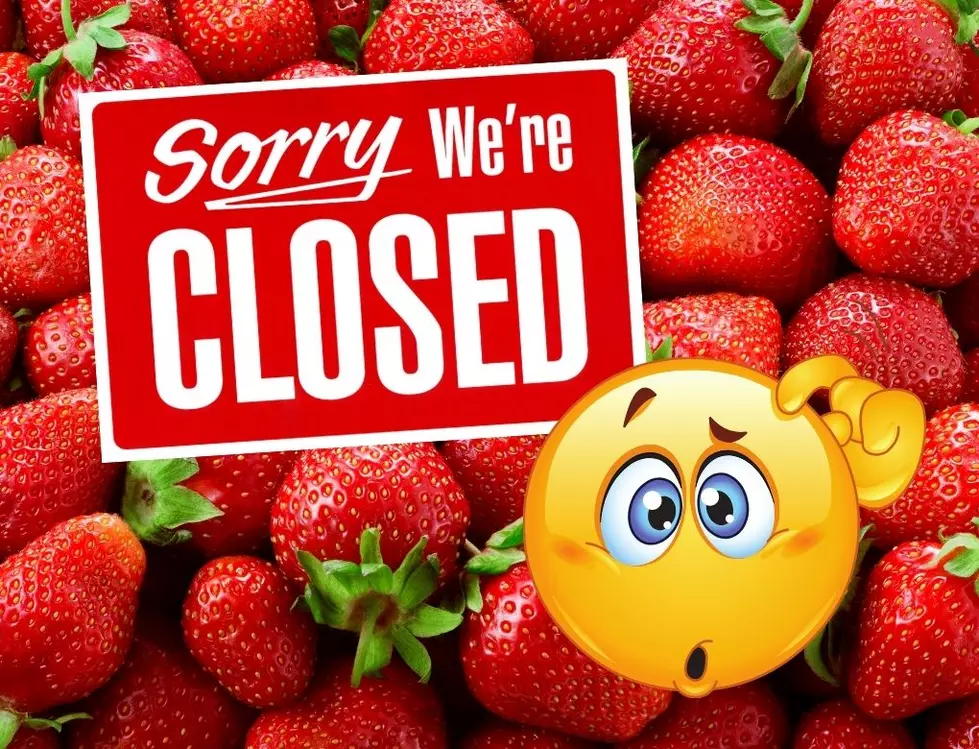 Popular Waterloo Farm Is Closing Early During Peak Strawberry Season