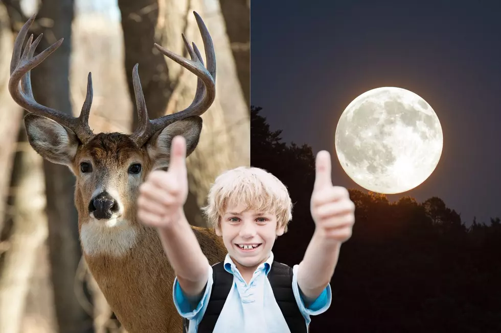 Iowans Will Get to Experience a ‘Buck Moon’ This Weekend!