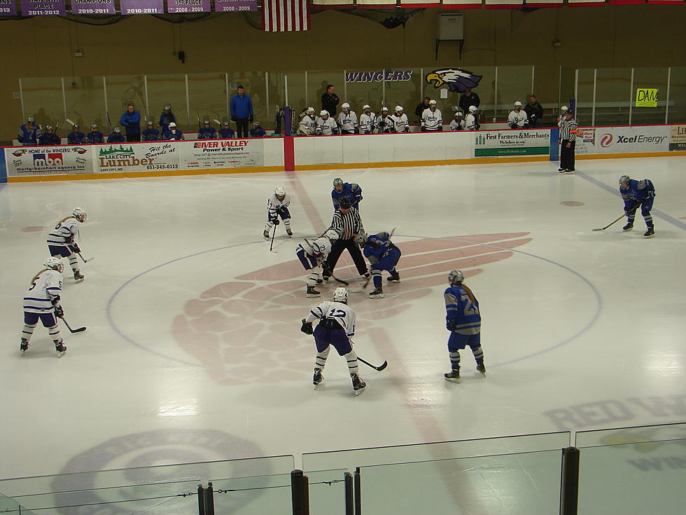 Girls Hockey Section Championship Doubleheader at Four Seasons in Owatonna