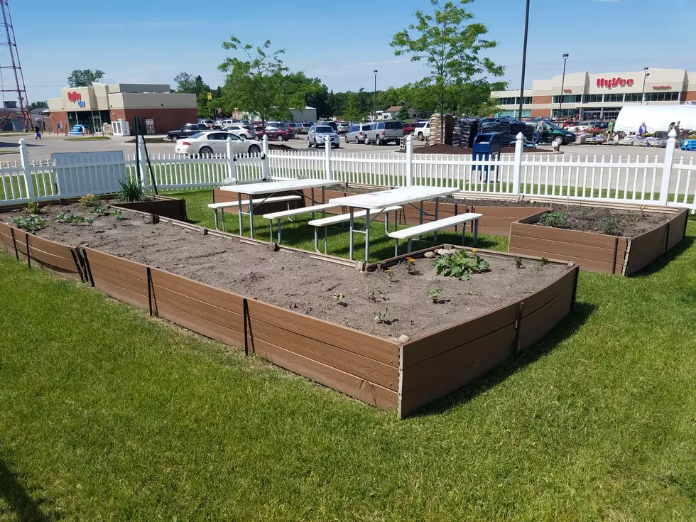 Steele County Kids Are Invited To Learn About Gardening