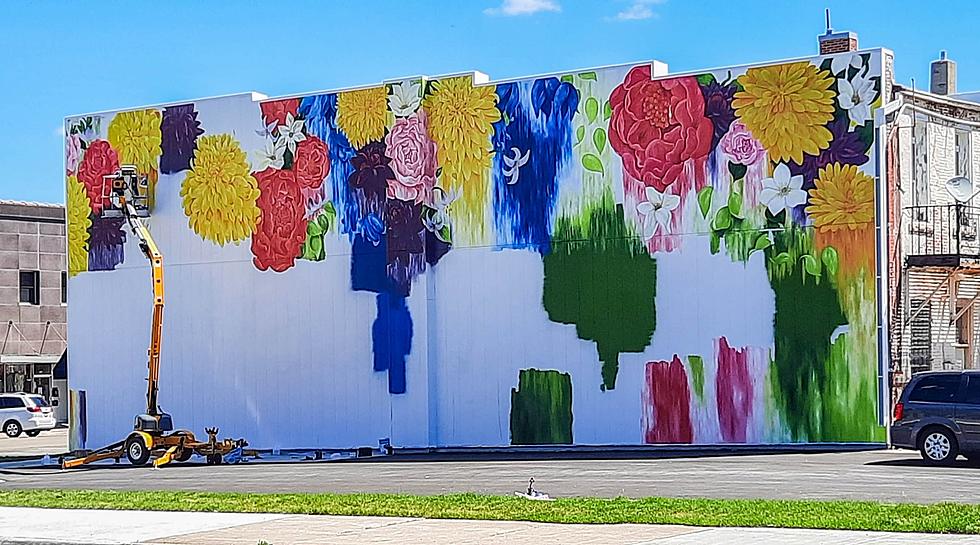 The Beautiful New Mural In Faribault Gives A Nod Toward Local Businesses