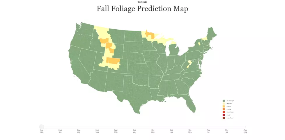 Minnesota fall foliage map 2021