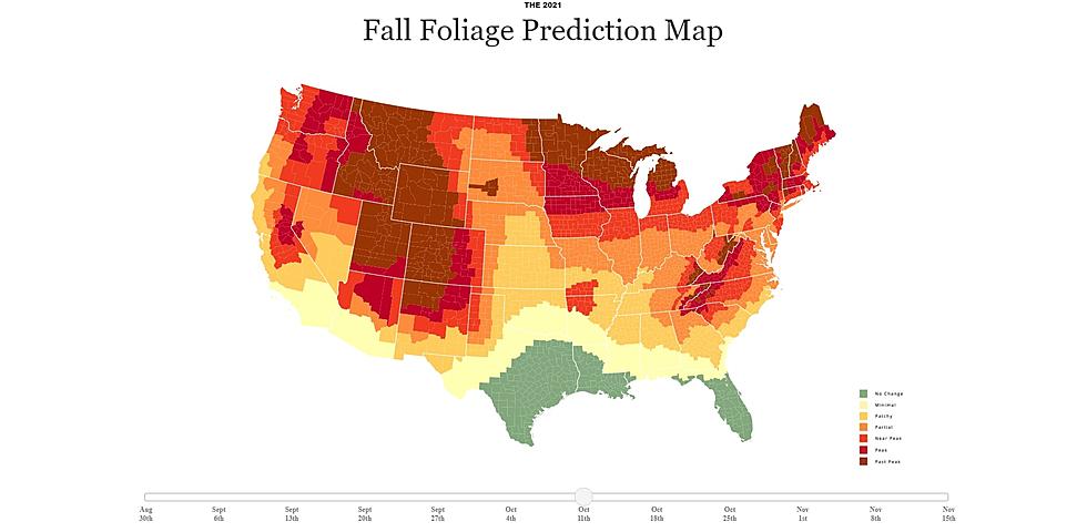 When Will Minnesota’s Fall Colors Be The Best? 2021 Fall Foliage Prediction Map is Here