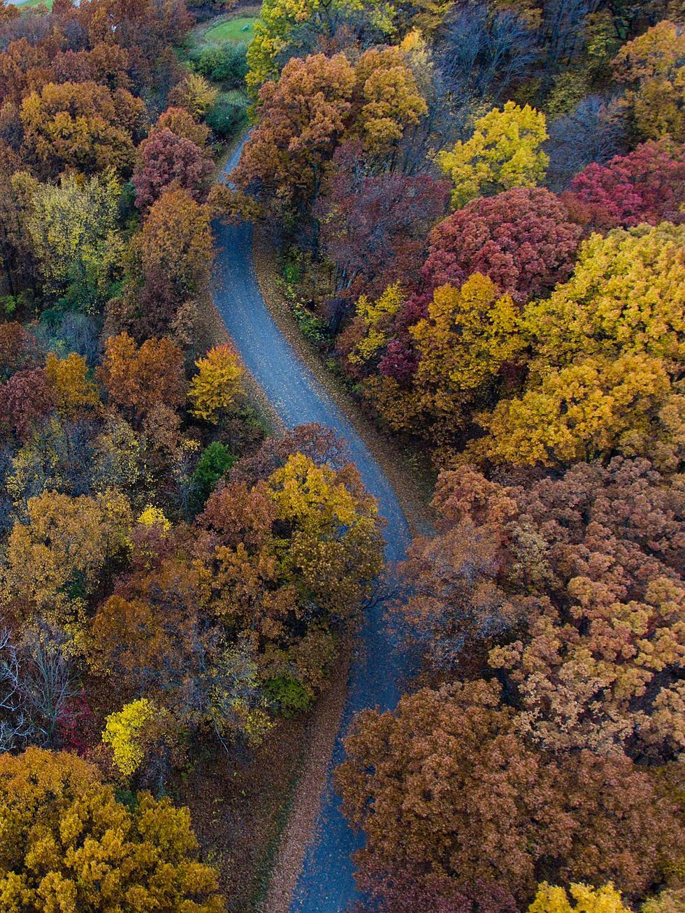 8 Best Minnesota Drives To Take Once The Leaves Change Colors