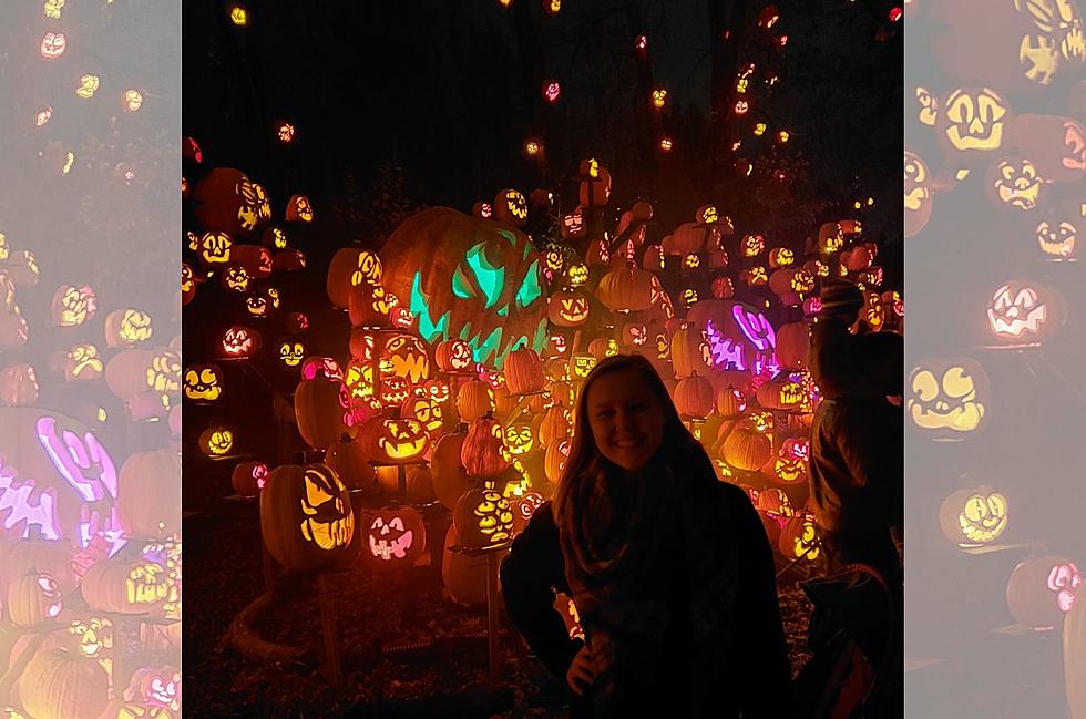 Minnesota Zoo is Bringing Back Their Jack-O-Lantern Spectacular This Year