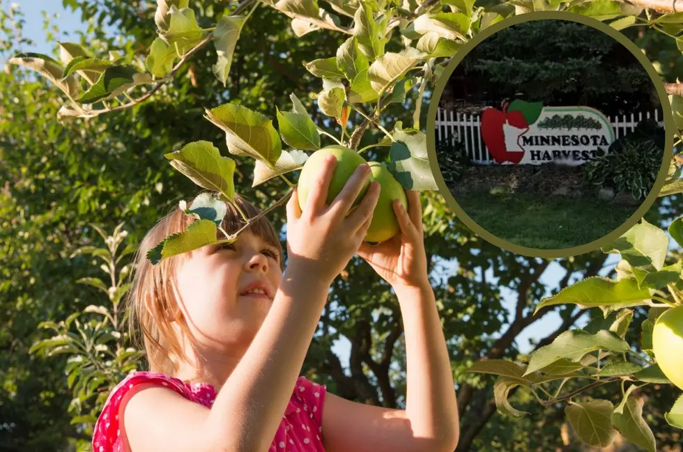 Meet the New Family that Owns Minnesota Harvest