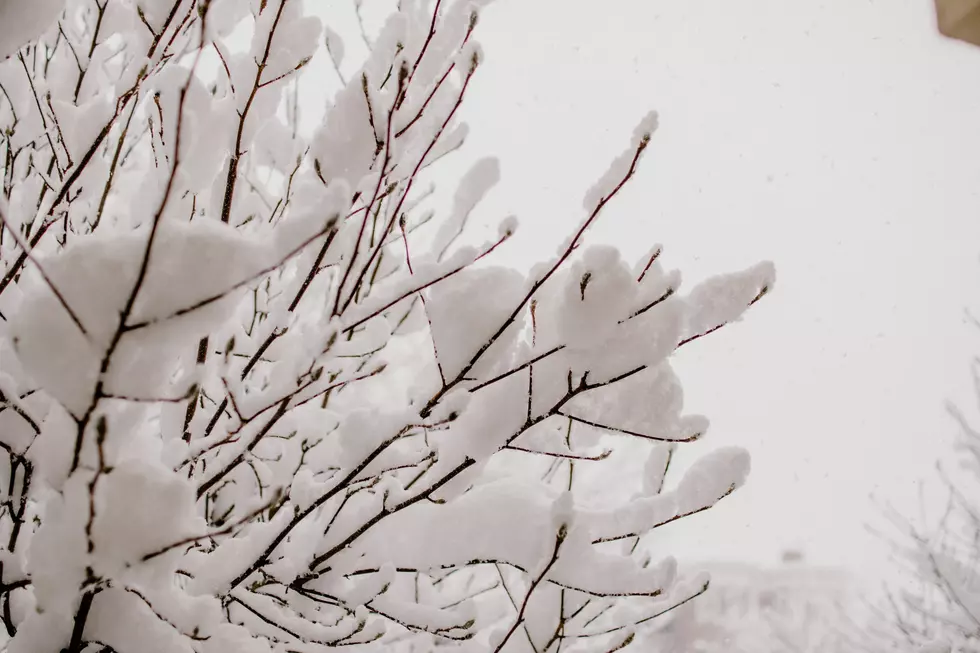 Strong Winter Storm Taking Aim at Minnesota