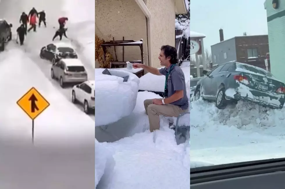 Minnesota Winters: A Helpful and Funny Guide By Minnesotans On TikTok