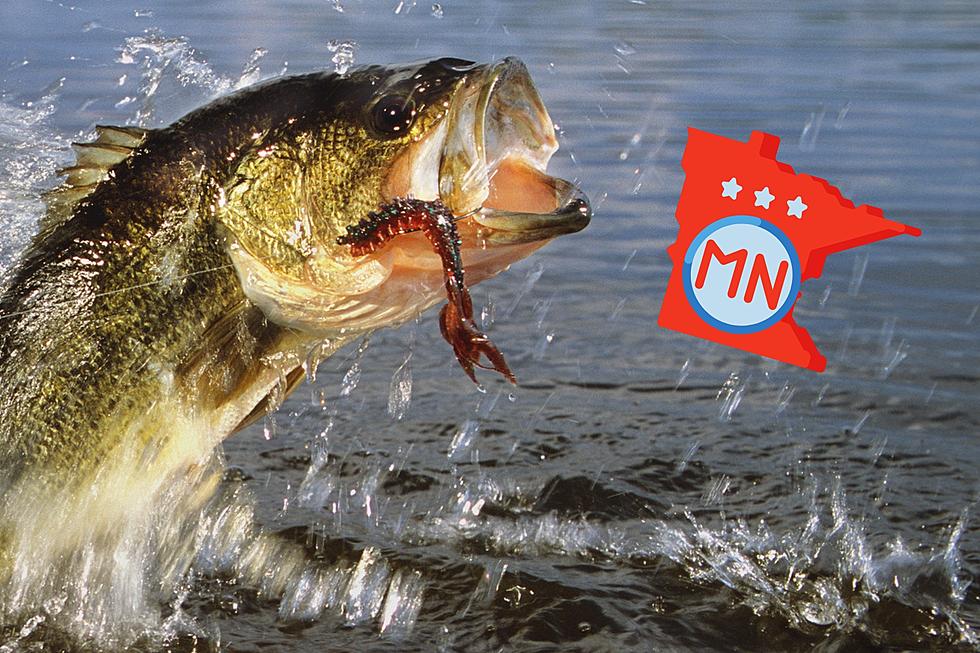 Do Any States Rank Higher Than MN for Fishing?
