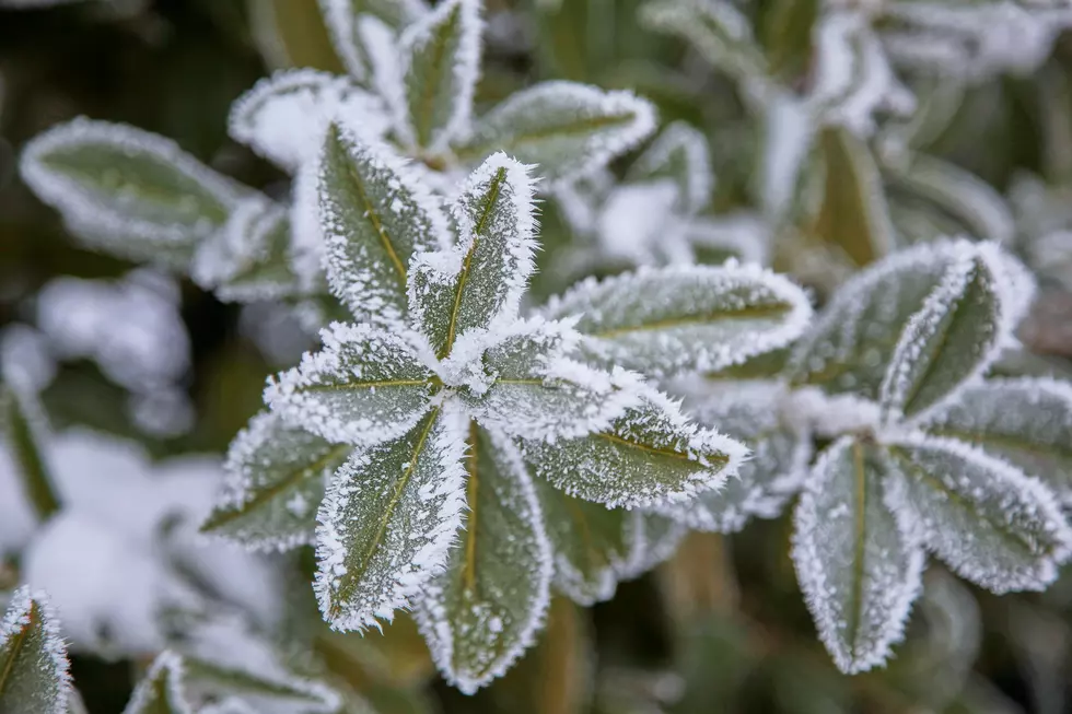 Freeze Warning Again Tonight Across Southern Minnesota