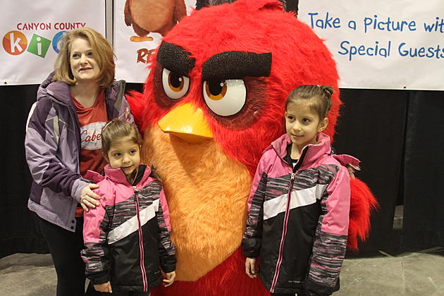 Angry Birds Meet &#038; Greets: 10 a.m. &#8211; Noon