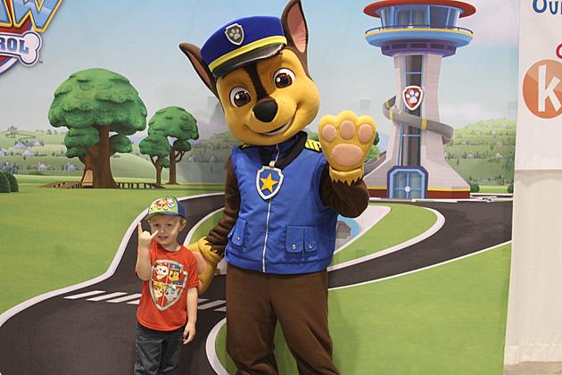 PAW Patrol Chase M&#038;G Photos &#8211; Afternoon