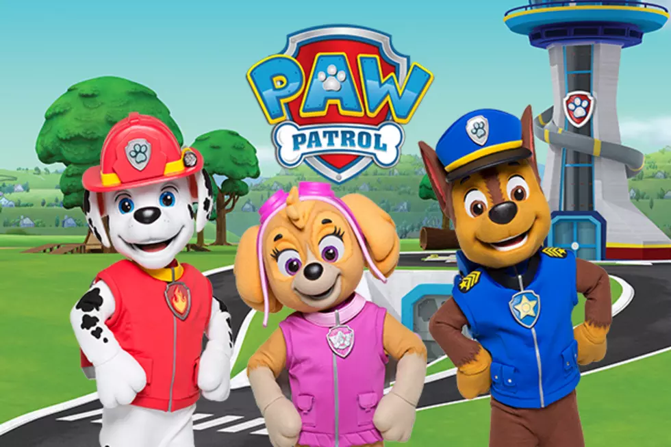 Meet: Paw Patrol