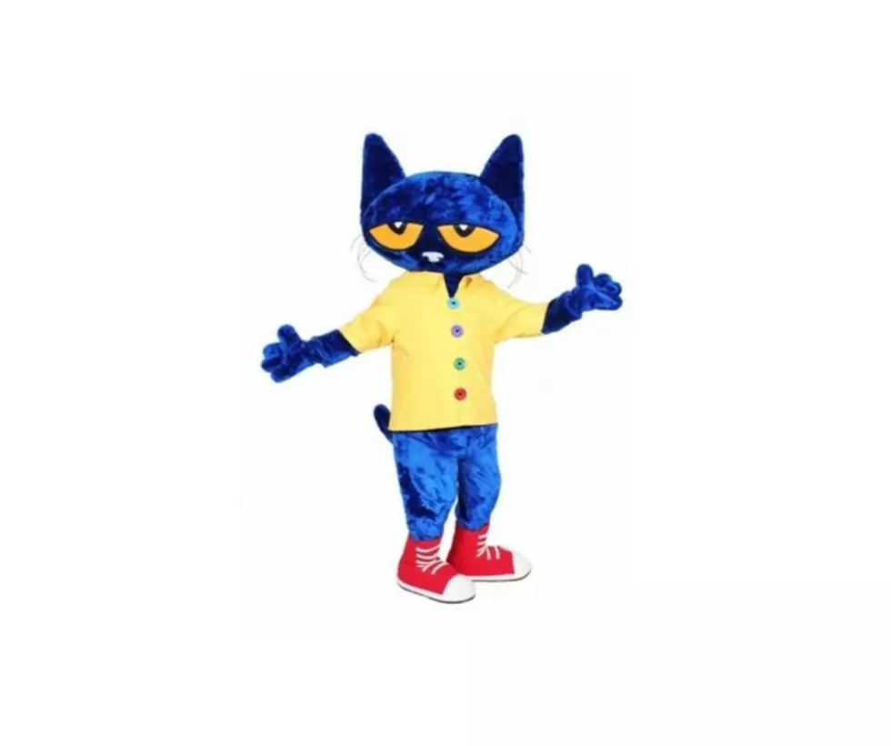 Character Announcement: Pete the Cat