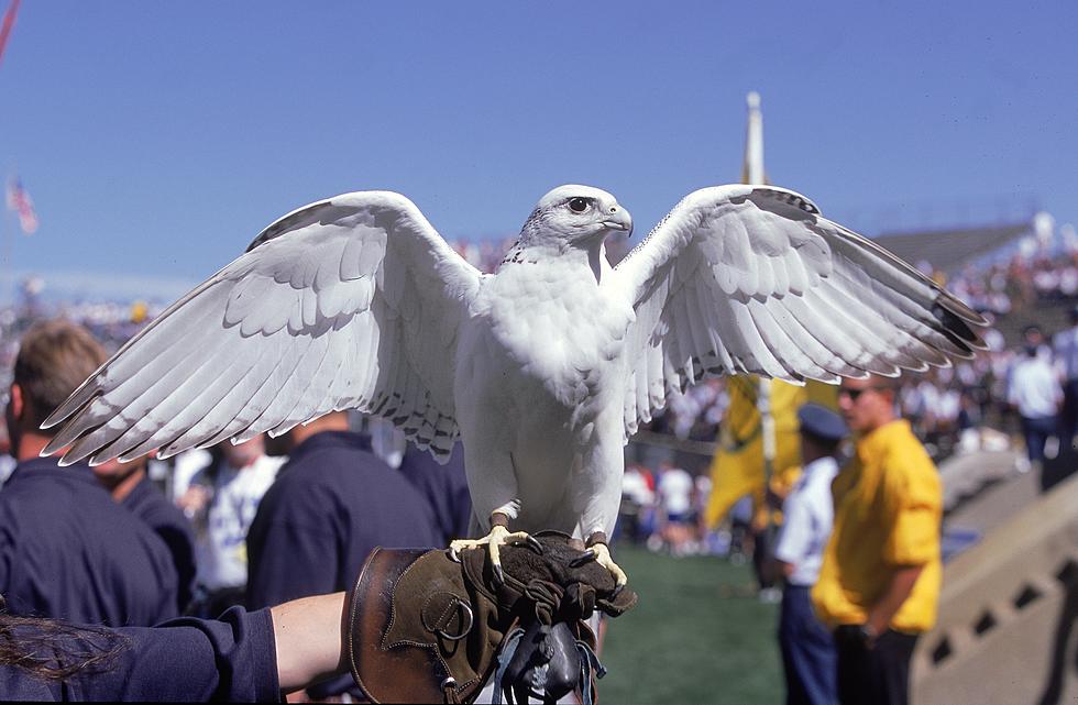 Air Force Academy’s Investigations Under Review