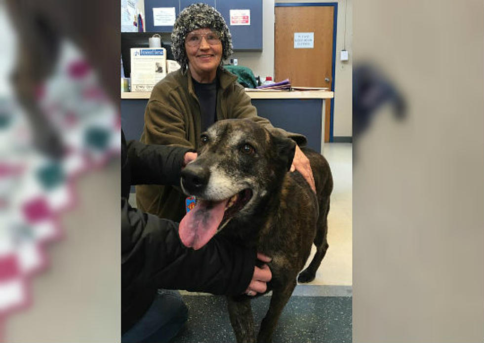 Very Happy Ending for One Pet at Grand Junction Animal Shelter