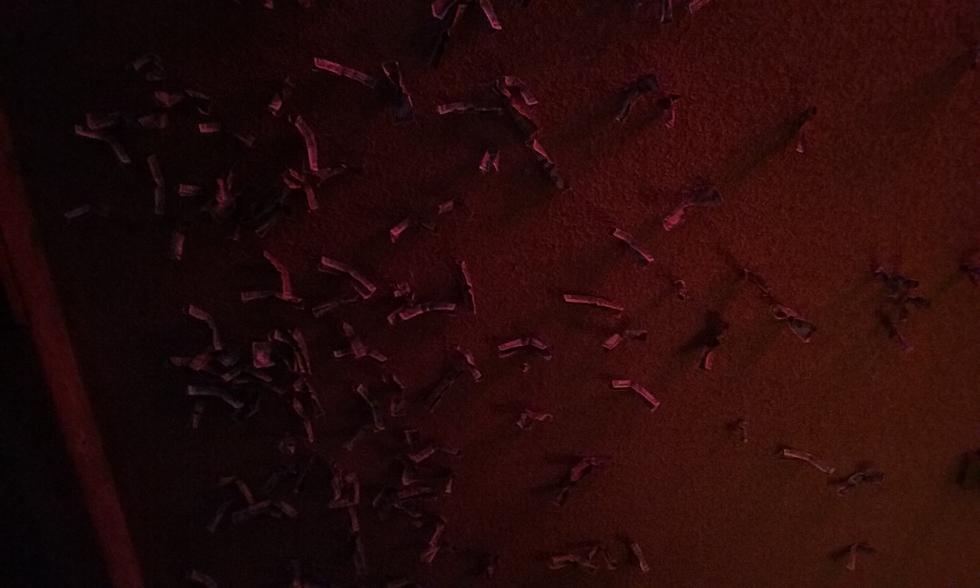 Why Does This Clifton Bar Have Dollar Bills Attached to Its Ceiling? [PHOTO]
