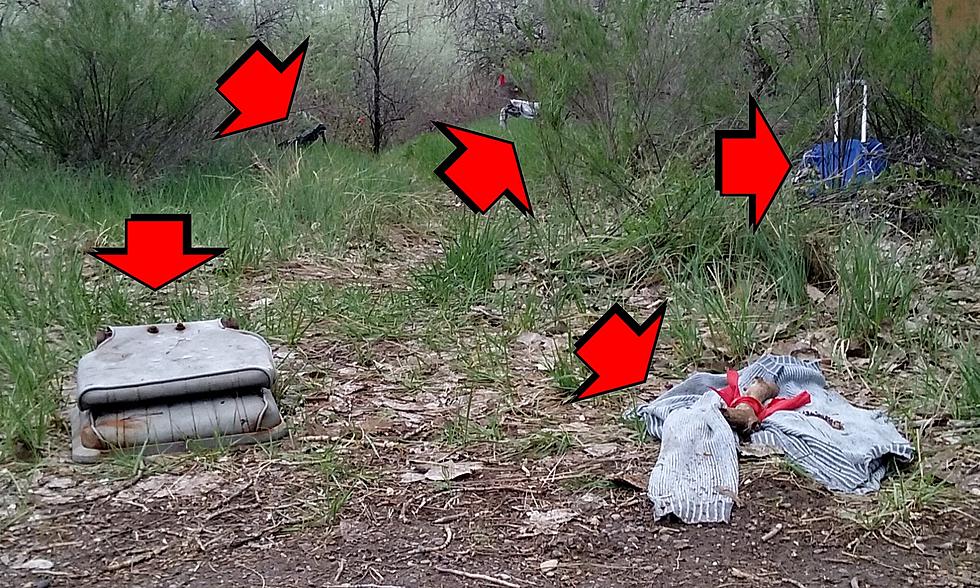 Why Did Someone Throw Trash All Over the Audubon Trail? [PHOTOS]
