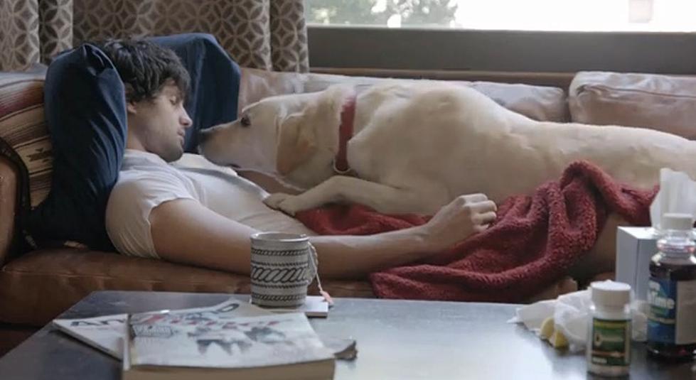 Budweiser&#8217;s Responsible Drinking Ad Will Make You Tear Up [VIDEO]