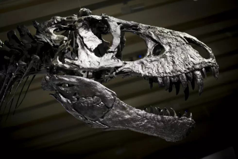 Discovery Center of Idaho Goes Full Jurassic Park
