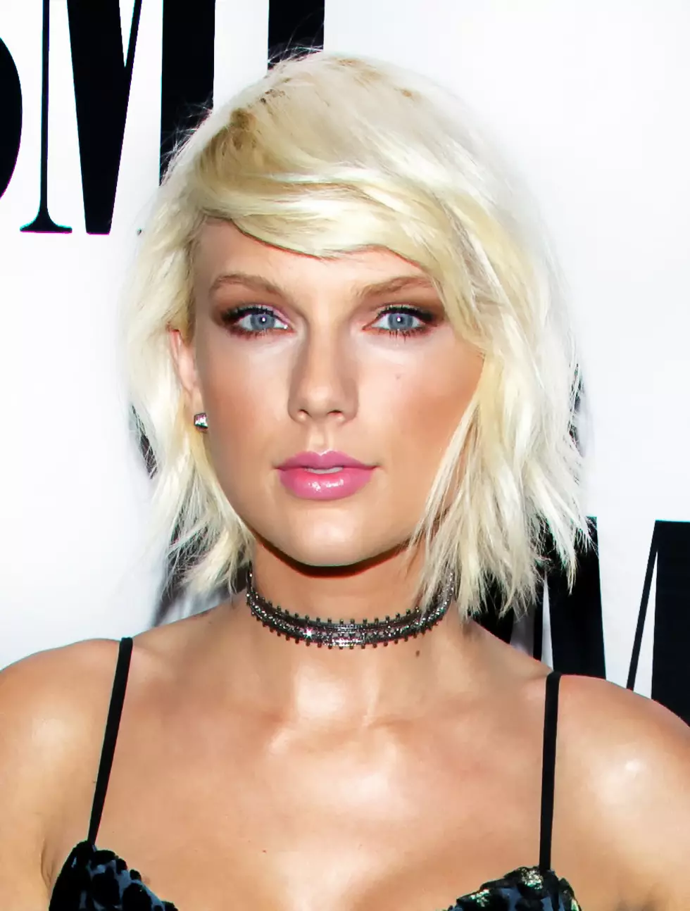 Taylor Swift’s Custody Agreement