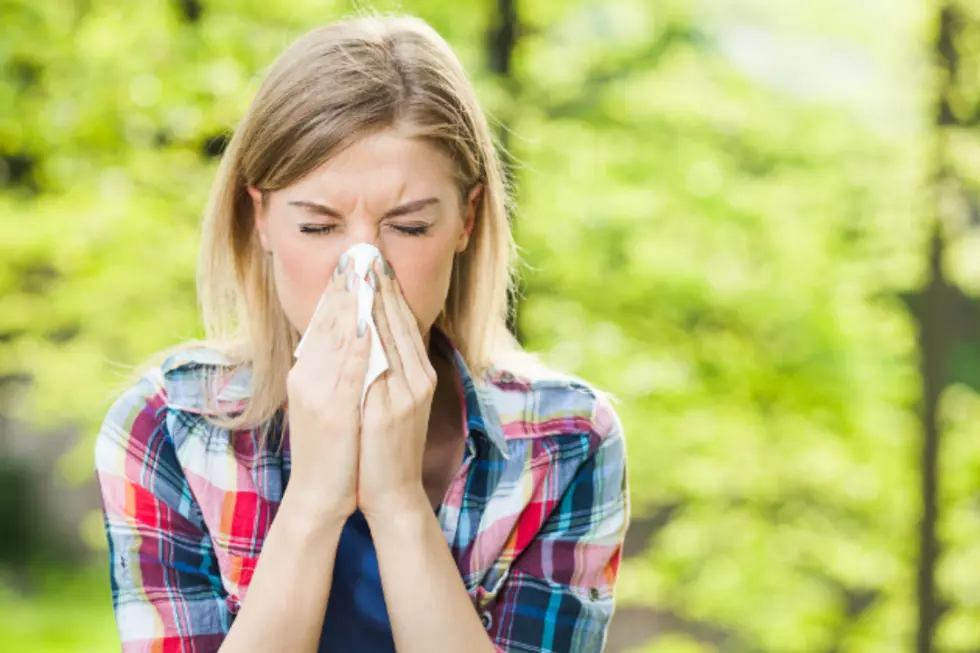 Is Global Warming Making Allergy Season Worse in Boise?