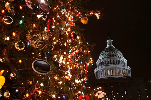 National Capitol Christmas Tree to Visit Boise