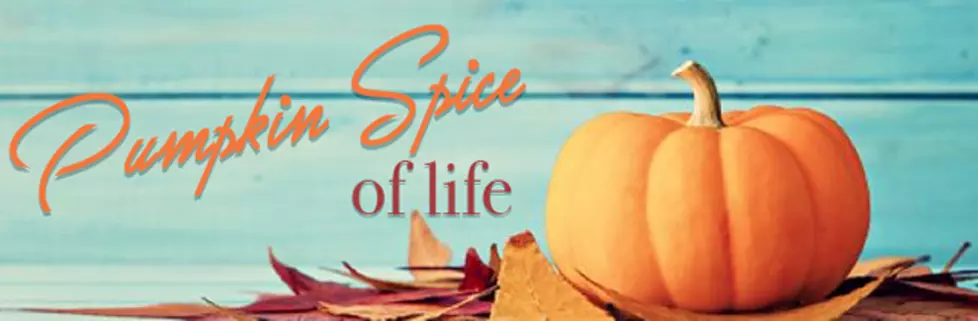 Pumpkin Spice Hard Cider Comes to Treasure Valley