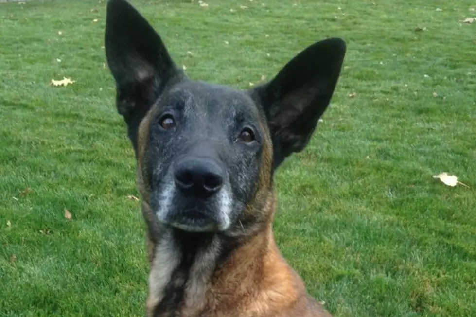 Jardo the Boise Police Dog Passes Away