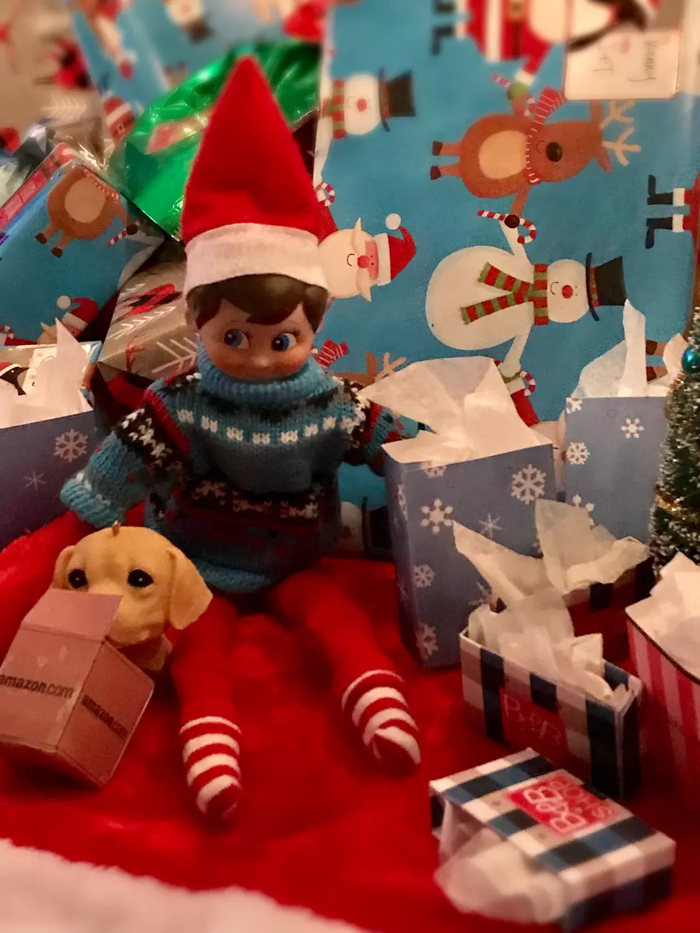 Elf on the Shelf Idea: Shopping