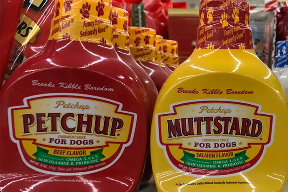 Pet Condiments Are a Real Thing
