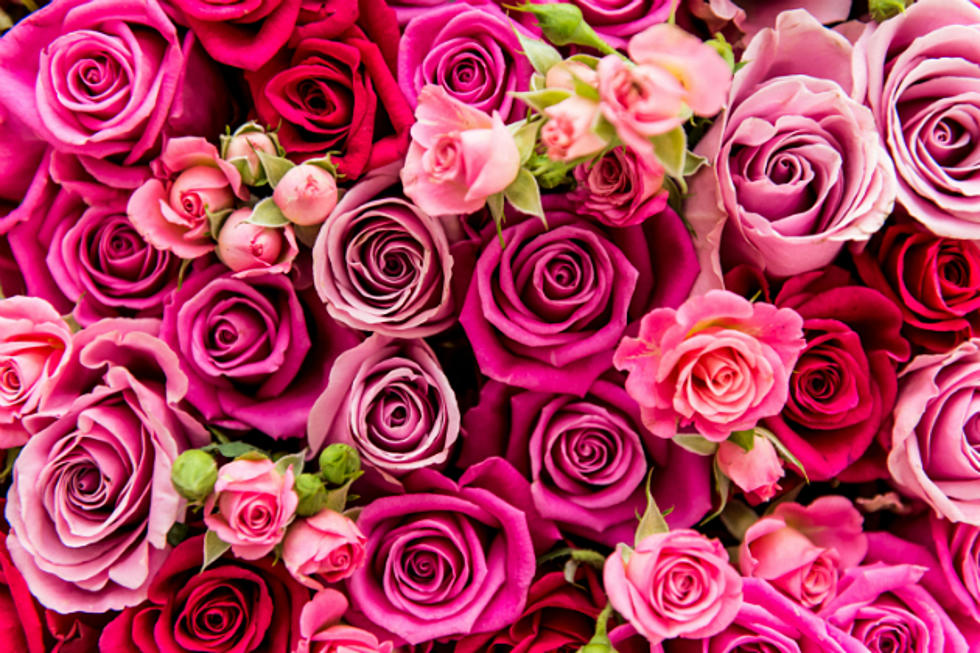 Phone Tap: Rolando Valentine&#8217;s Day Flowers