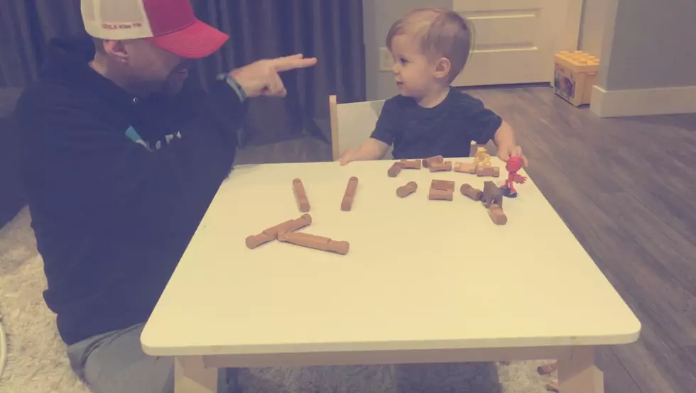 Lincoln Logs Daddy Disaster 