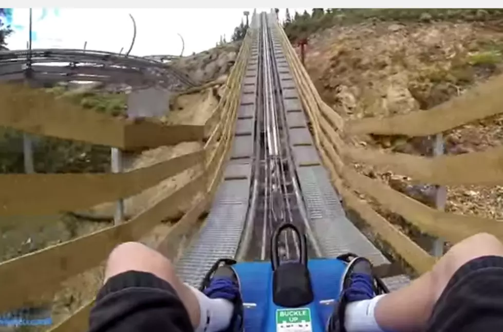 Coaster Coming to Bogus!