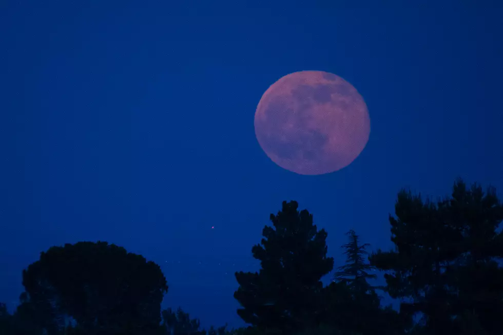 Moon Talk: The Pink Moon Helps Change Our Lives