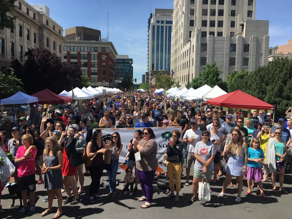 Thousands Crowd Downtown for Pride Festival (Gallery 8)