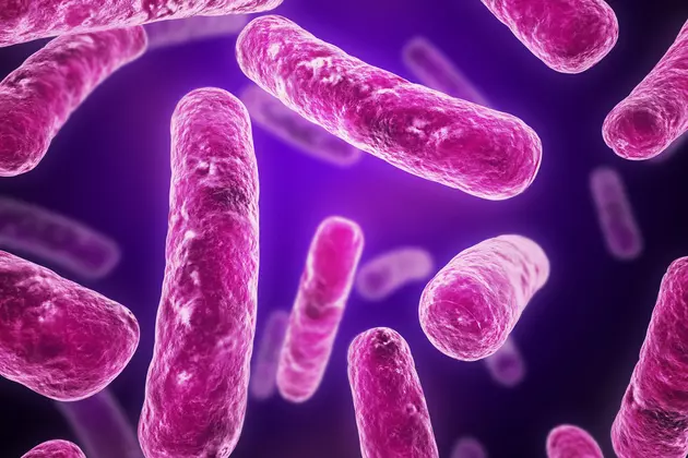 If You Think You&#8217;ve Encountered E. coli, You&#8217;ll Want to do This Now