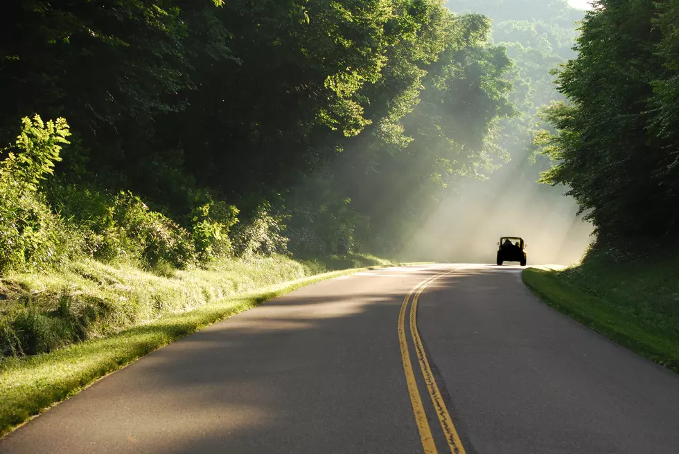 Day-Tripping to Huckleberry Jam: Why It&#8217;s Worth It