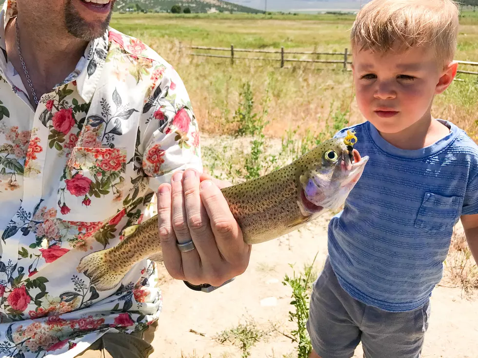 Hundreds Of Fish Flood Barber Park [VIDEO]