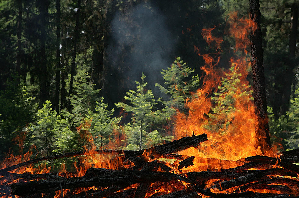 Smokey Air Caused By Over 74 Major Wildfires