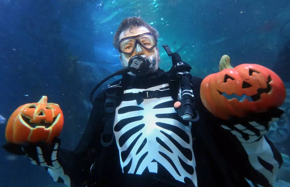 Boise Aquarium Hosts Halloween Annual Trick or Treat Under Sea