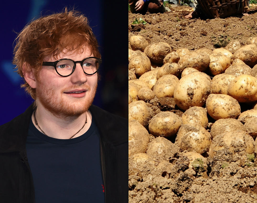 Celebrity or Idaho Potato? [QUIZ]