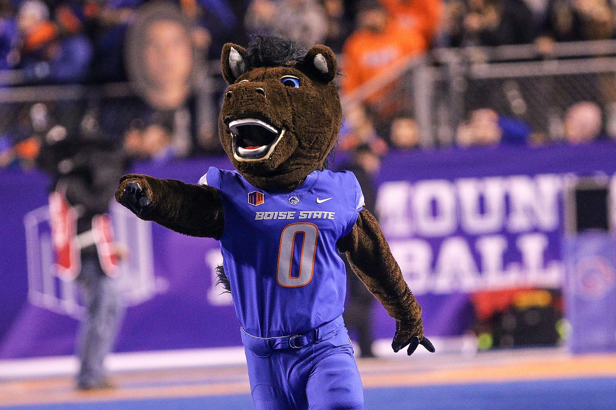 View of dog wearing Denver Broncos jersey in parking lot outside Mile  News Photo - Getty Images