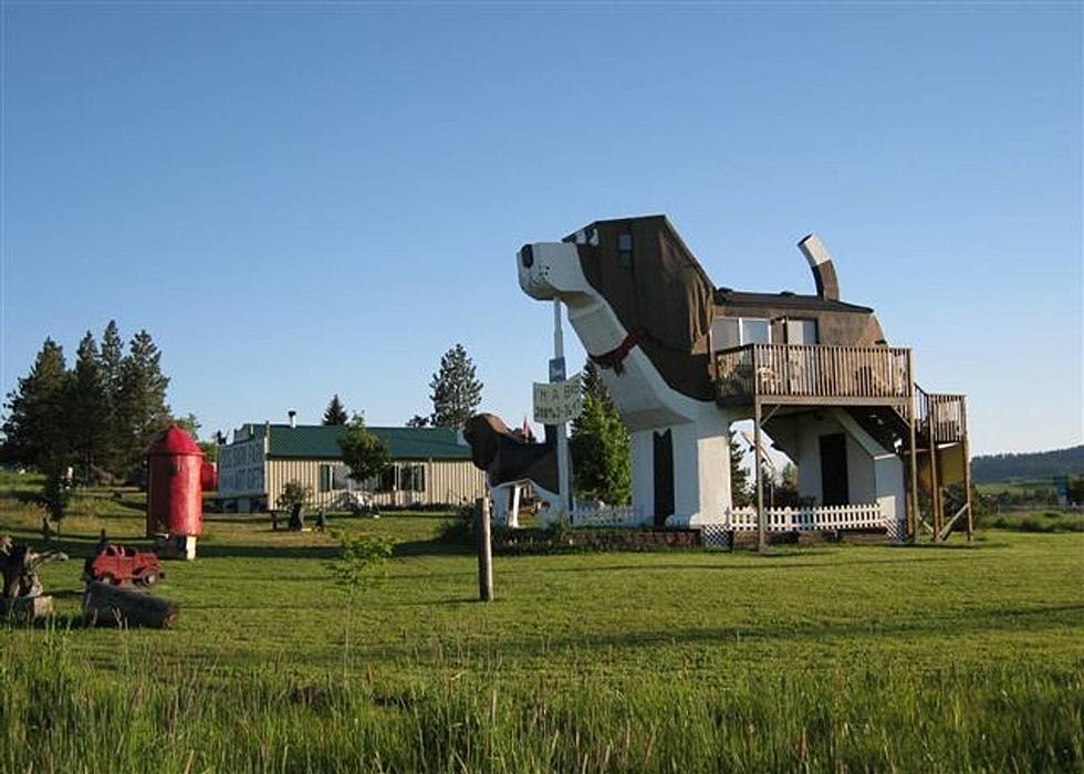 Spend the Night in a Three-Story Dog – No Really