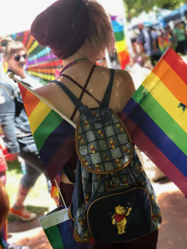More Photos From Boise Pridefest (Gallery 3)