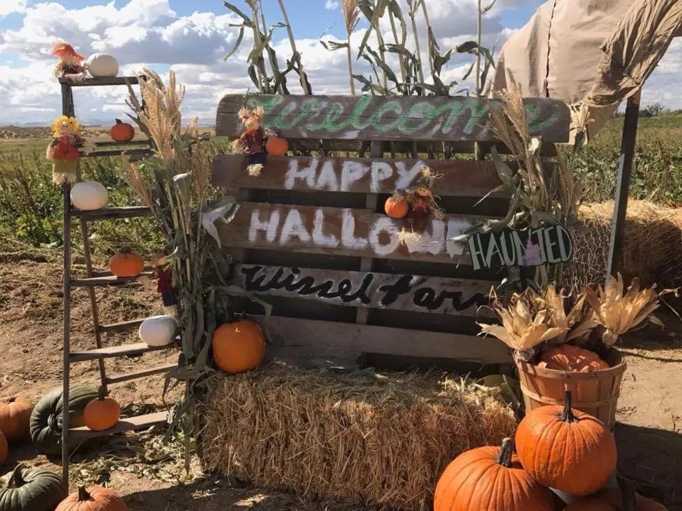 Nampa Pumpkin Patch Reopens For Fall
