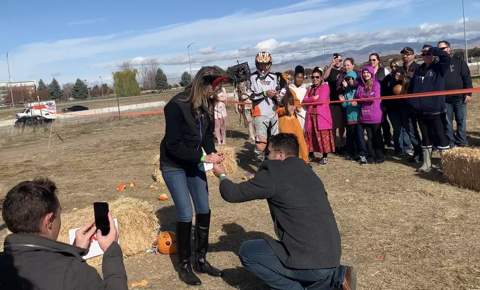 A Proposal in a Jack-o-lantern Finds Love at Pumpkin Smash This Year