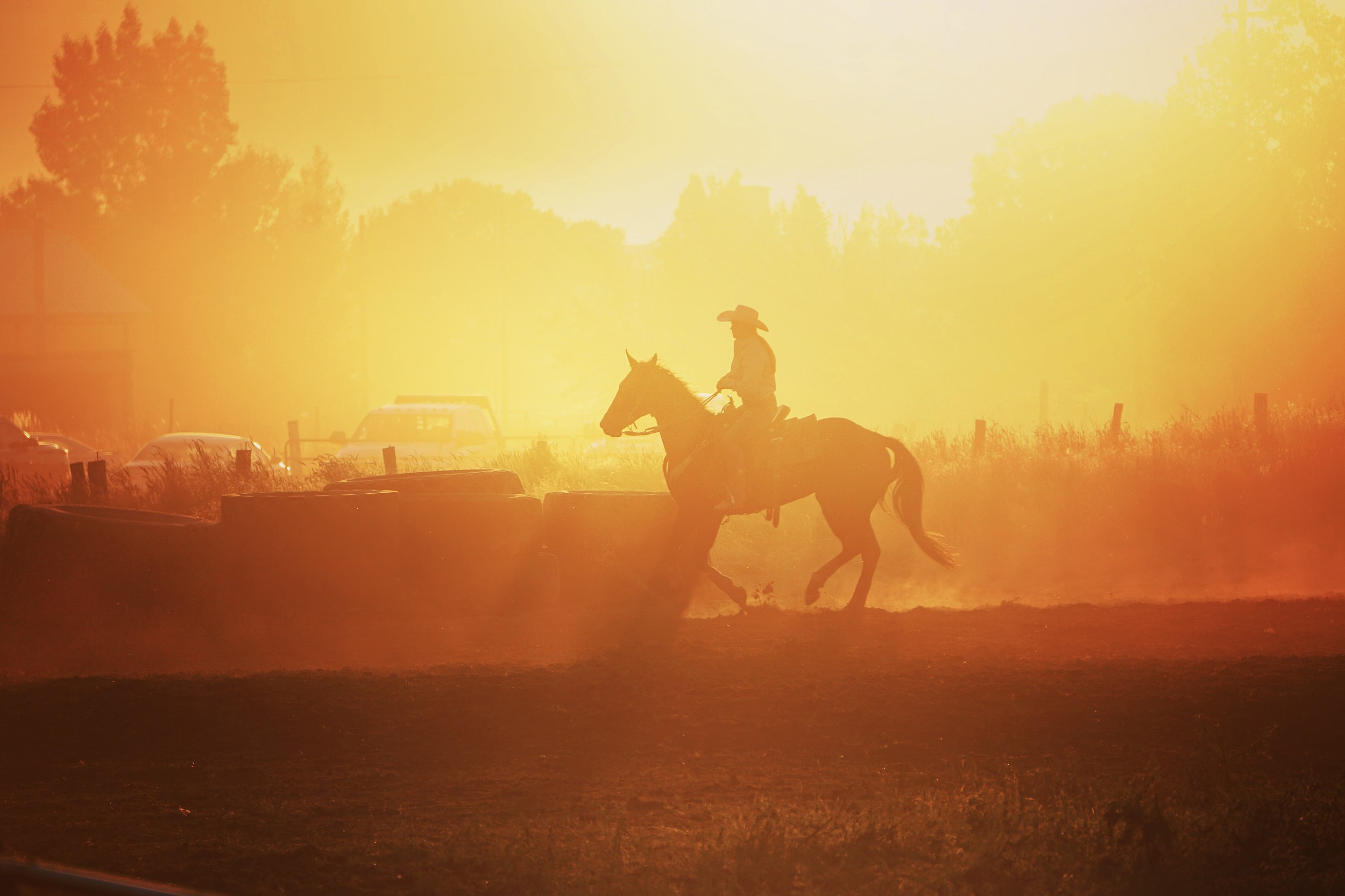 Check Out Idaho's Best Rodeos Near You & Grab Your Tickets Today!